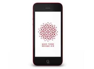 cullinan our years of experience make think did