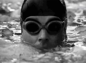 cullinan our years of experience investec human polar bear